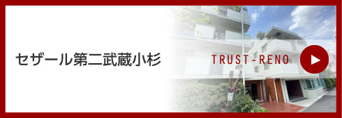 セザール第二武蔵小杉