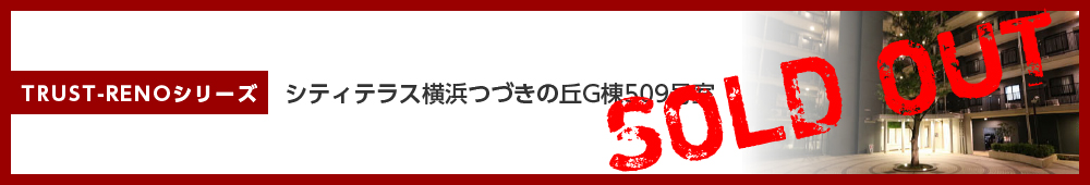 シティテラス横浜つづきの丘G棟