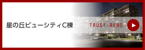 星の丘ビューシティC棟