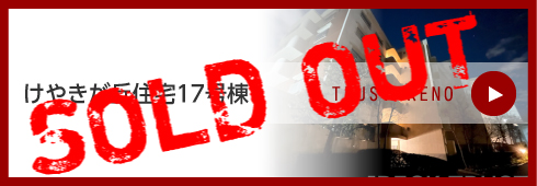 けやきが丘住宅17号棟